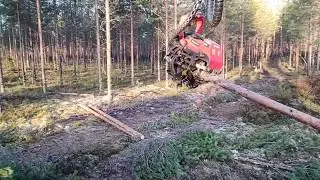 Komatsu 901xc clear cut pine forest with c93