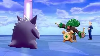 Pokémon Shield Grand Finale! Final Battle with Hop & Epic Rematch Against Leon #letsplay #pokemon