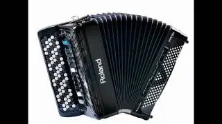accordeon  instrumentaal amsterdamse grachten
