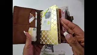 B6 Slim Chic Sparrow cover, combined with Applepig Leather Art wallet
