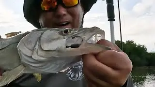 All About Them Mullet Chunks