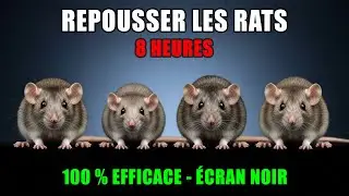 SON POUR FAIRE FUIR LES RATS 🚫🐀 RÉPULSIF ULTRASONIQUE 100% EFFICACE