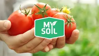 Healthy Gardens Start With Healthy Soil