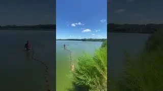 Catching bait fish! #shorts #fishing #bass #monsterfish #outdoors #farming #fish