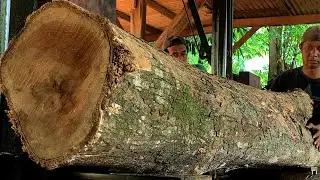 BEAUTIFUL! A young teak tree is transformed into expensive frame and sheet material at a sawmill. 
