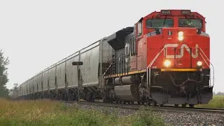 BC RAIL DASH 9!!! CN 8955 Leads CN G832 (Grain Empties) south at Lousana AB, CN Three Hills Sub
