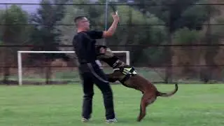 Training for IGP -  protection escape💥💥💥 