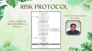 BTMT4293 RISK MANAGEMENT ASSIGNMENT PRESENTATION (GROUP B1)