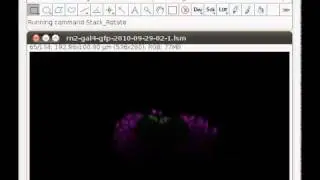 Interactive Stack Rotation