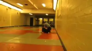 BJJ vs Wing Chun