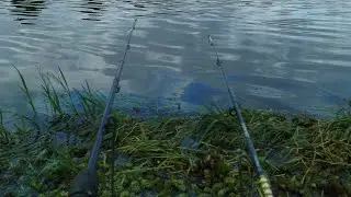 Pescarias de barranco tradicionais  est&aacute; ao vivo!
