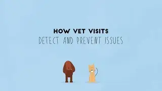 Routine Vet Visits Are So Important; Here's Why: