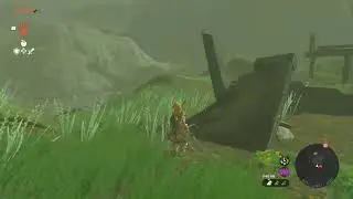 What TF is this bug in zelda totk/tears of the kingdom