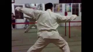 Chuo Jiao Fan Zi - Great Emperor Boxing - 太祖拳