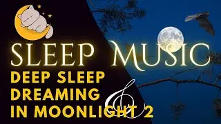 Peaceful Moonlight &ndash; Relaxing Night Sleep Music