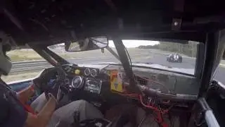 Lotus in Mirror