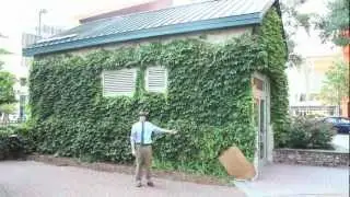 Hey Intern: Youth Legacy Village at the Green