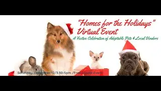 RI Pet Network 