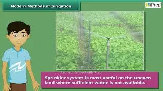 Modern Methods of Irrigation | Crop Production and Management | Class 8th | iPrep
