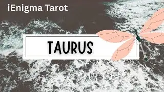TAURUS YOU MAY NEVER WORK AGAIN AFTER THIS.. WELCOME TO THE SOFT LIFE‼️ YOUR WISH COMES TRUE..