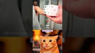 Чад &mdash; мастер головоломок 💀 #кот #мемы #фанк #фонк