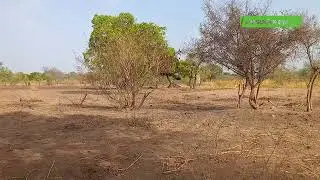 Conservation de la nature : Une journ&eacute;e pour booster les actions