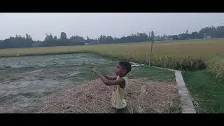 সেই ছোটবেলার কথা মনে পড়ে গেল