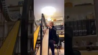 How does this harp sound? #harpmusic #harps #leverharp