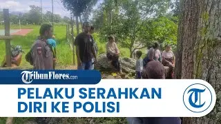 Kasus Penikaman di Boawae Nagekeo Diduga Masalah Tanah, Pelaku Serahkan Diri ke Polisi