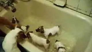 Jrt baby