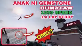 EP425 - 1200 SPEED SOBRANG BILIS ANAK NI GEMSTONE 1st LAP DERBY!