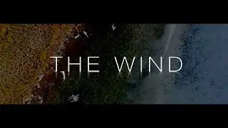 Anthony Blaine - The Wind (feat. Olga Sokolova)