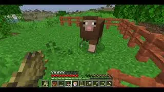 Building the Sheep Pen
