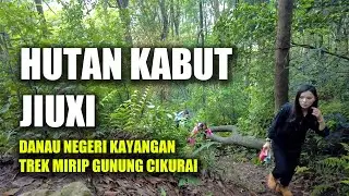 Nine Creeks in Misty Forest | lanjut naik Gunung trek mirip gunung cikuray