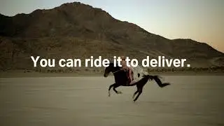 Horsey