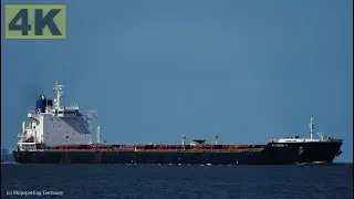 PATRICIA V - Shipspotting Germany 🇩🇪 IMO 9453054 - River Elbe near City Otterndorf - 4K VIDEO