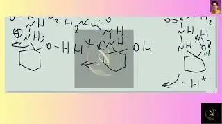 [Chemistry] The formation of imines, oximes, hydrazones, and related derivatives from carbonyl compo