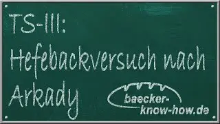 Teigsäuerung #3