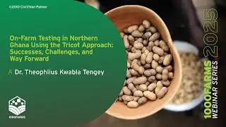 On-Farm Testing in Northern Ghana Using the Tricot Approach: Successes, Challenges, and Way Forward
