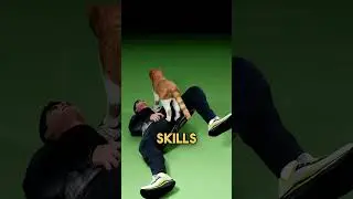 How Do Cats Land On Their Feet?