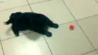 Тёма маленький