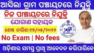 Odisha Gram Panchayat Recruitment | Odisha Village Level Jobs 2022 | Odisha Govt jobs | Odisha job