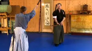 Samurai Kenjutsu redirection explanation James Williams sensei