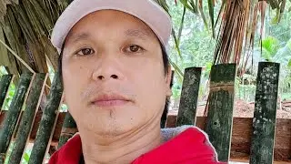 BALITA?