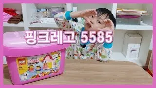 PINK LEGO 핑크레고 5585 Pink Brick Box LEGO PLAY