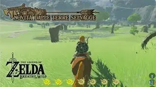 Zelda: Breath of the Wild: Swift Carrot, Endura Carrots (x2) & Apples (x2) from Nintendo Switch News