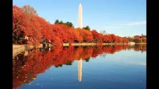 Washington DC - TOEFL Listening Question 3