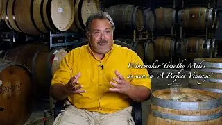 WINEMAKER TIMOTHY MILOS and RHETT GADKE TALK WINE - A PERFECT VINTAGE EXCERPT