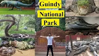 Guindy National Park Chennai in Hindi | Children's park Chennai | Snake park Chennai | Guindy park