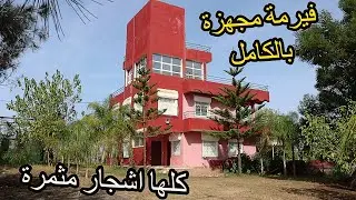 ✨فيرمة بمنزل كبير رائع ومغروسة بكل انواع الاشجار محفظة ✨ بين تيفلت والرباط